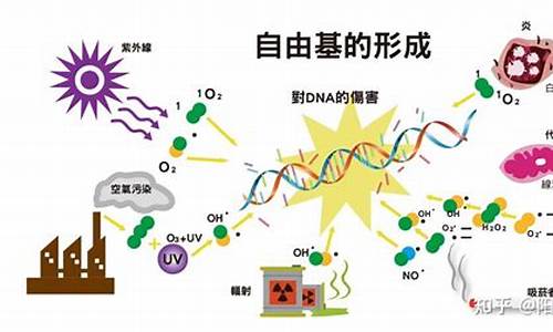 dnf模型怎么消除